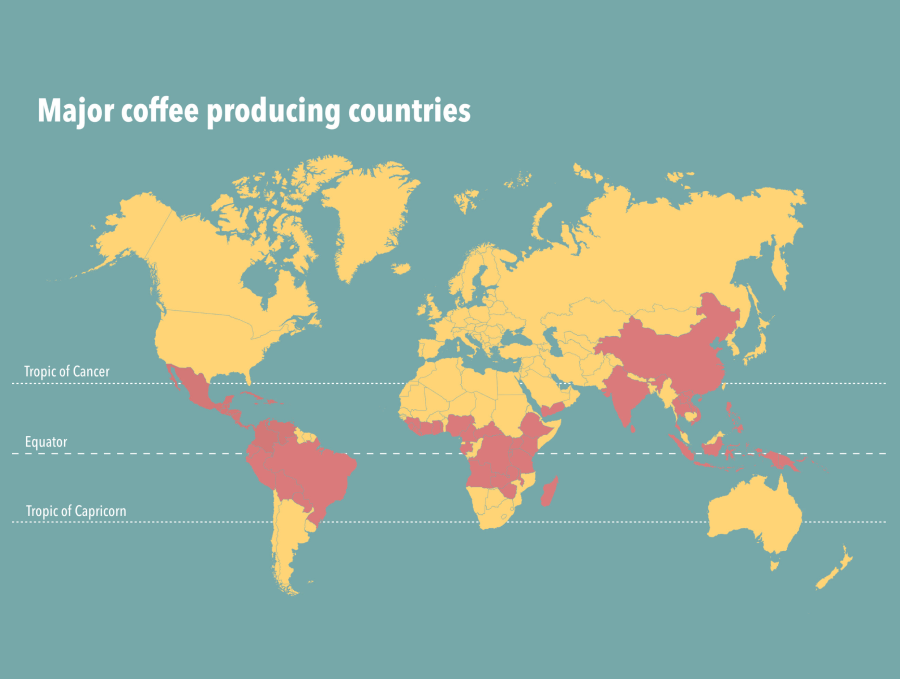 Comprehensive Coffee Sourcing Analysis Quality, Sustainability, Retail Success